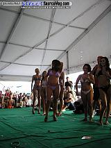 summerstreets Show Images Page 5